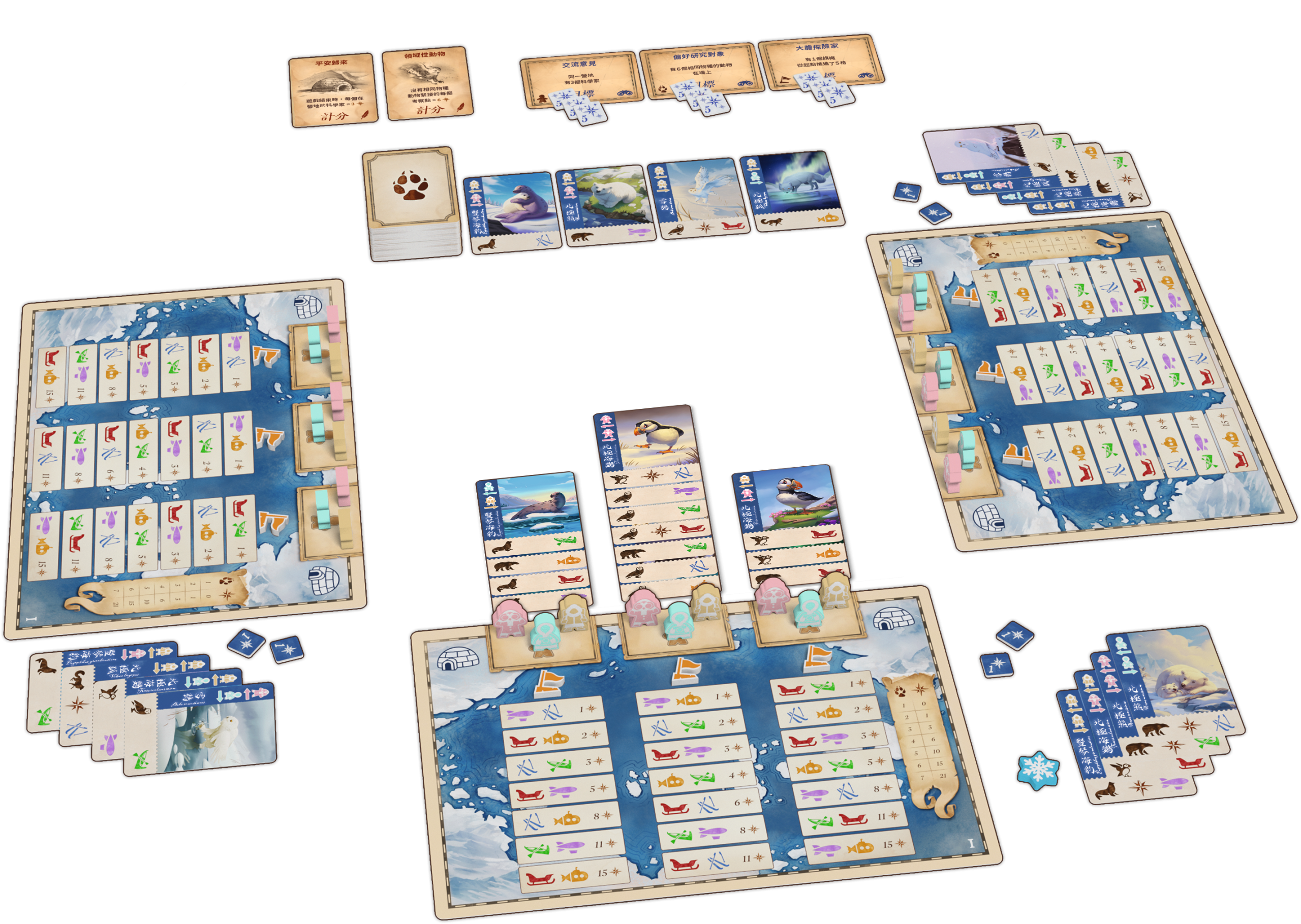 Borealis: Arctic Expedition